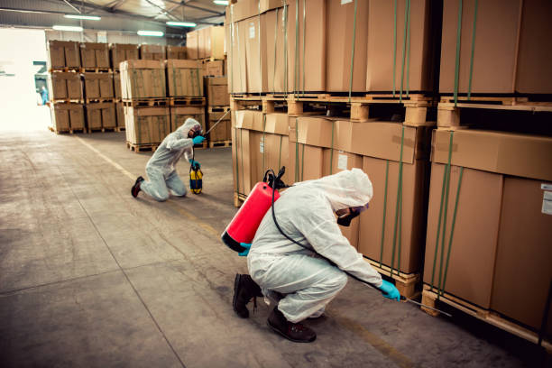 Best Flea Control Services  in Fort Atkinson, WI