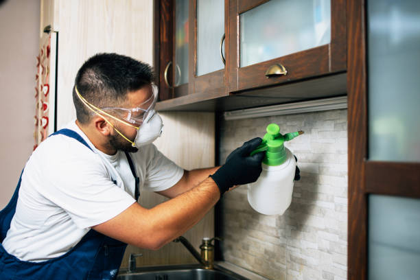 Best Ant Control Services  in Fort Atkinson, WI