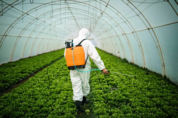 Best Pest Control for Restaurants  in Fort Atkinson, WI