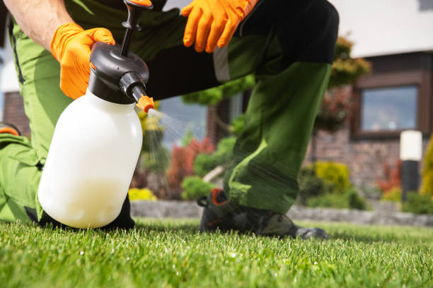 Bird Control in Fort Atkinson, WI