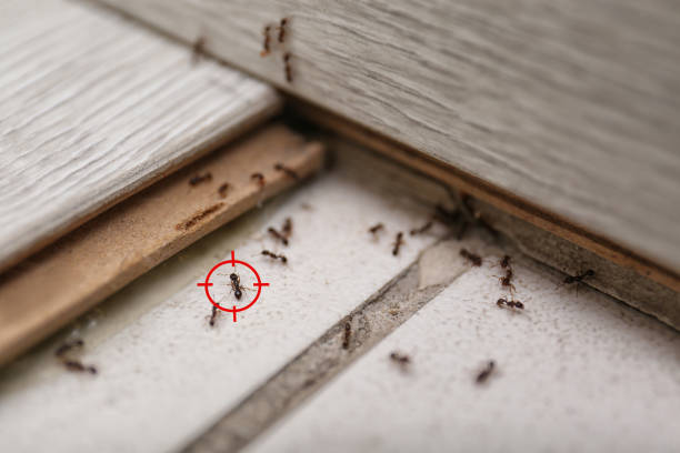 Best Pest Removal Services  in Fort Atkinson, WI