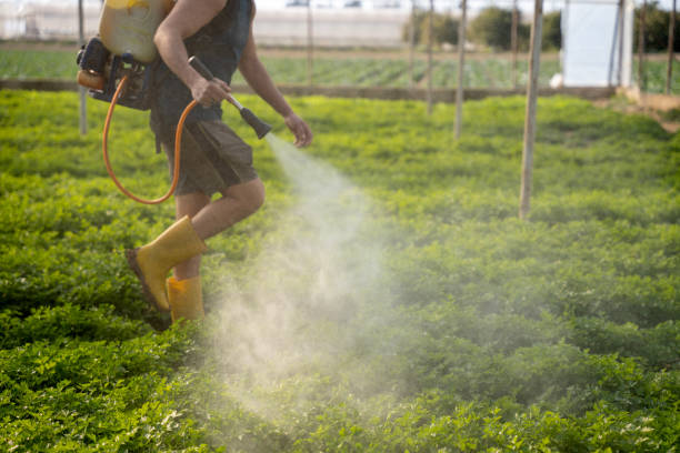 Best Local Pest Control Services  in Fort Atkinson, WI