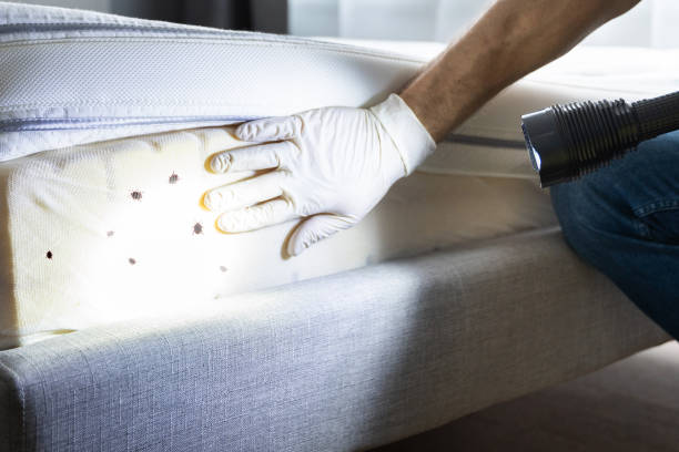 Reliable Fort Atkinson, WI Pest Control Solutions