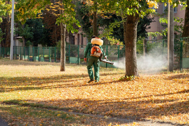 Best Wasp Removal Services  in Fort Atkinson, WI