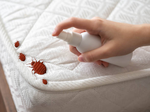 Best Residential Pest Control  in Fort Atkinson, WI