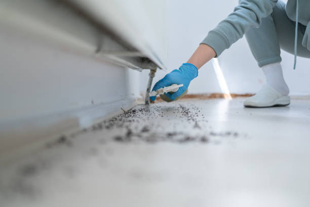 Best Commercial Pest Control Services  in Fort Atkinson, WI