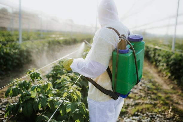 Reliable Fort Atkinson, WI Pest Control Solutions